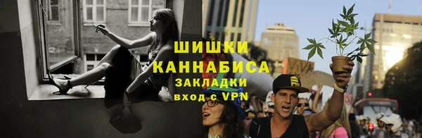 ПСИЛОЦИБИНОВЫЕ ГРИБЫ Краснотурьинск