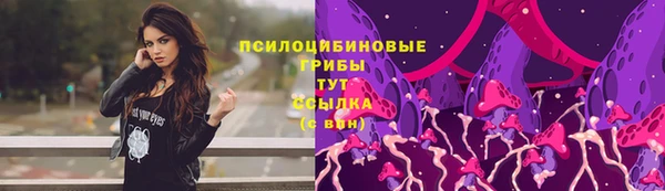 прущий лед Краснослободск