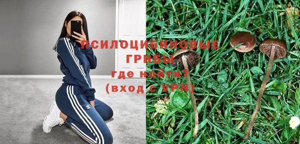 прущий лед Кулебаки