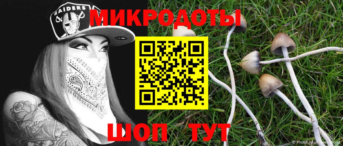Галлюциногенные грибы мицелий Уссурийск